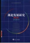 湖北发展研究报告  2004 封面