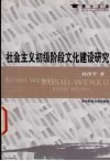 社会主义初级阶段文化建设研究 封面