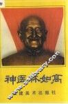 神医林如高 封面