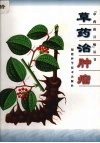 草药治肿瘤 封面