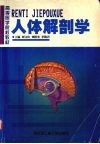 人体解剖学