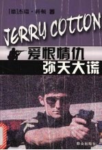 爱恨情仇  弥天大谎 封面