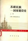 苏联民族-国家建设史 两卷本 上 封面