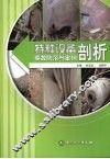 特种设备事故防范与案例剖析 封面