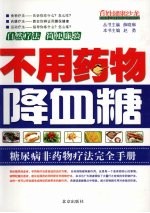 不用药物降血糖  糖尿病非药物疗法完全手册 封面