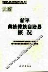 新平彝族傣族自治县概况 封面