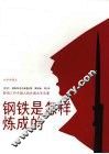 钢铁是怎样炼成的（新版新封面） 封面