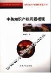 中美知识产权问题概观 封面