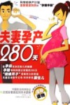 夫妻孕产280天 封面