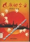 腾飞的企业 封面