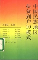 中国民族地区扶贫到户10模式 封面