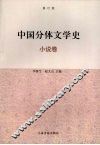 中国分体文学史  小说卷 封面
