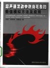 超声速流动中燃烧现象的数值模拟方法及应用 封面
