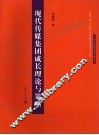 现代传媒集团成长理论与策略 封面