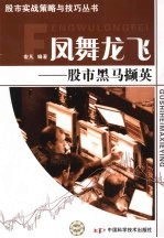 凤舞龙飞  股市黑马撷英 封面