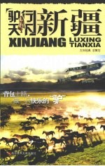 驴行天下：新疆 封面