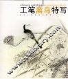 工笔禽鸟特写 封面