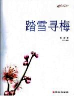 踏雪寻梅 封面