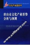 唐山市文化产业形势分析与预测 封面