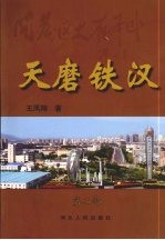 天磨铁汉  第二部 封面