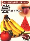 幼儿感知认物第一课  味觉  0-3岁 封面