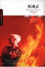 死魂灵  插图本 封面