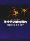 神经元突触传递的细胞和分子生物学 神经生物学基本原理 封面