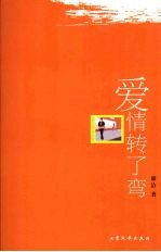 爱情转了弯 封面