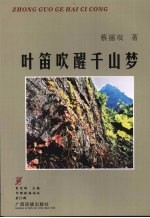 叶笛吹醒千山梦 封面