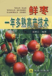 鲜枣一年多熟高产技术 封面