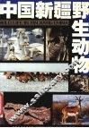 中国新疆野生动物 封面