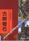 古树奇石 封面