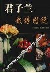 君子兰栽培图说 封面