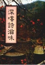 深尝诗滋味 封面