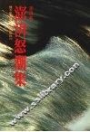 澎湃怒潮集 封面