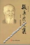 张孟良文集  第6卷  洼淀烽烟 封面