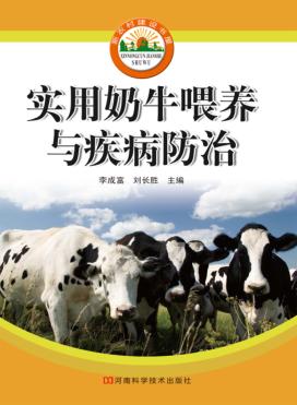 实用奶牛喂养与疾病防治 封面