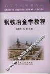 钢铁冶金学教程 封面