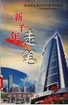 新千年走笔  深圳特区报2000年新闻作品选 封面