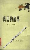 真实的故事 封面