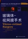 玻璃体-视网膜手术 封面