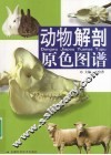 动物解剖原色图谱 封面
