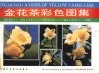 金花茶彩色图集 电子书封面