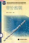 审计实训 封面
