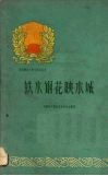 铁水钢花映水城 封面
