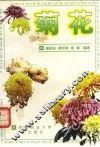 菊花 封面