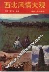 西北风情大观 封面
