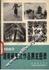 1982湖南省美术作品展览图录 封面