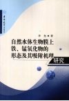 自然水体生物膜上铁、锰氧化物的形态及其吸附机理研究 封面