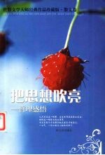 把思想吹亮  哲理感悟 封面